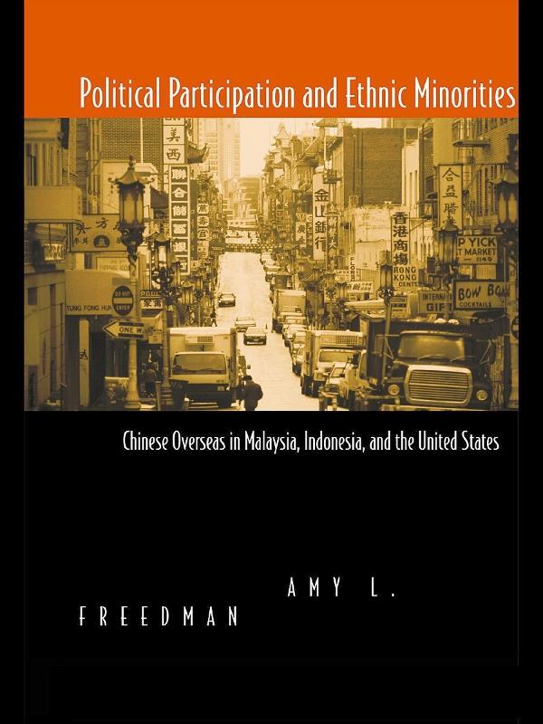 Political Participation and Ethnic Minorities by Amy L. Freedman