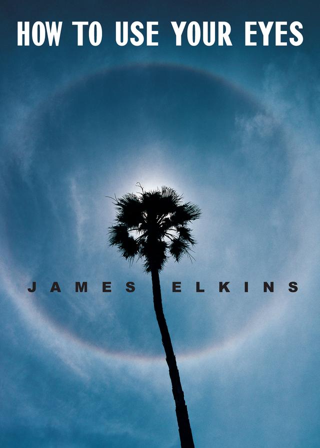 How to Use Your Eyes by James Elkins
