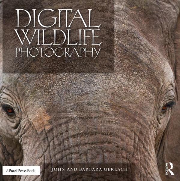Digital Wildlife Photography by John and Barbara Gerlach