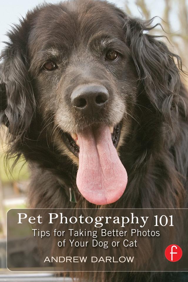 Pet Photography 101 by Andrew Darlow