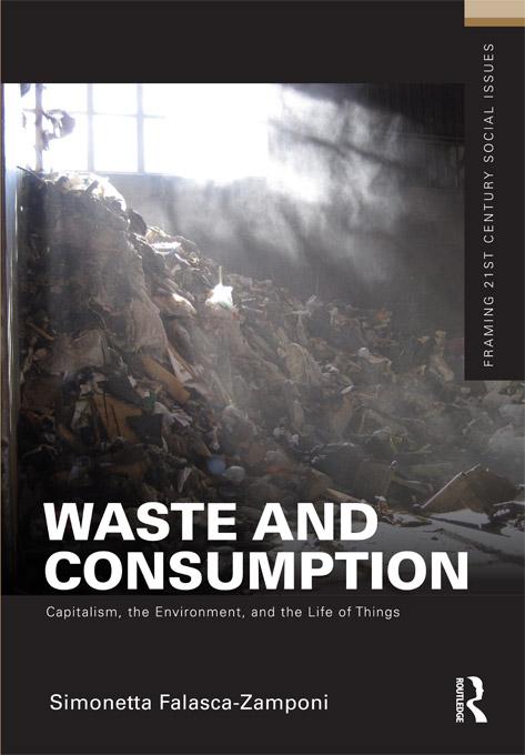 Waste and Consumption by Simonetta Falasca-Zamponi