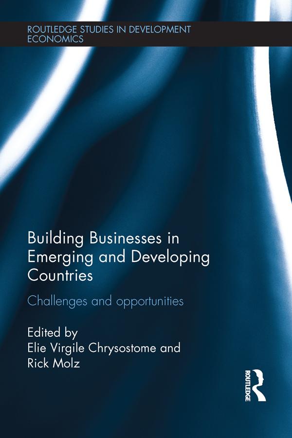 Building Businesses in Emerging and Developing Countries by Elie Virgile Chrysostome, Rick Molz