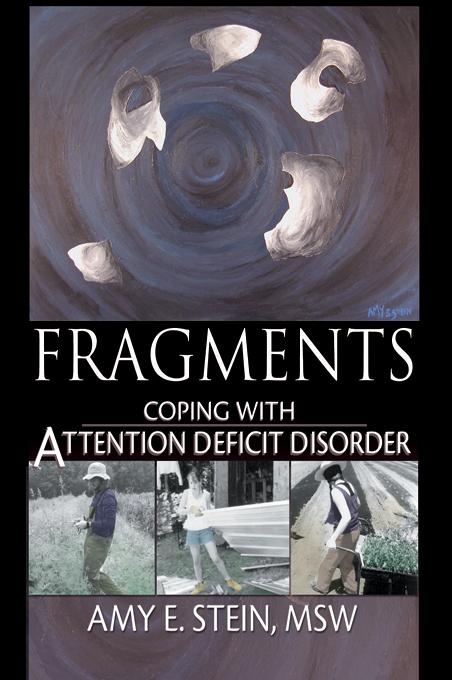 Fragments by Amy E Stein