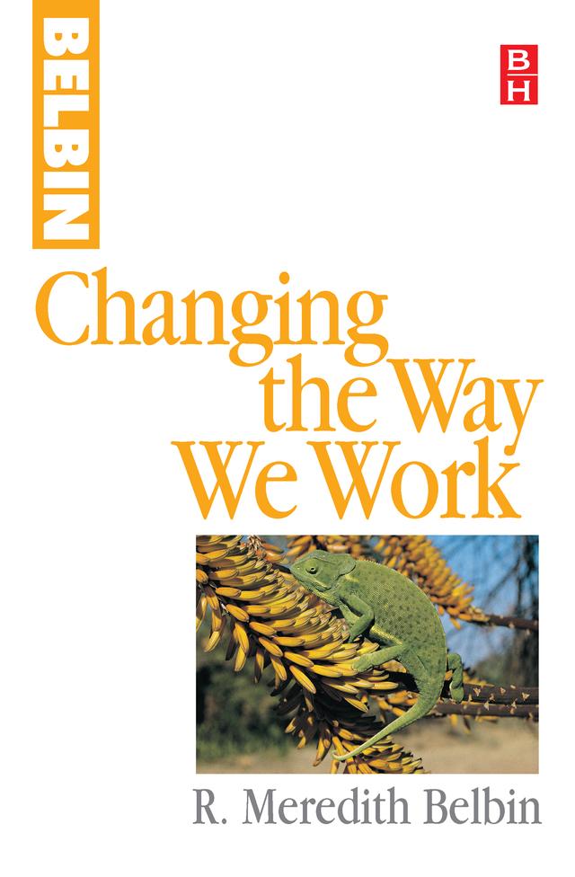 Changing the Way We Work by R Meredith Belbin