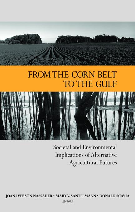 From the Corn Belt to the Gulf by Donald Scavia, Joan Iverson Nassauer, Mary V. Santelmann
