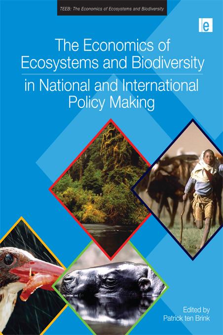 The Economics of Ecosystems and Biodiversity in National and International Policy Making by Patrick ten Brink