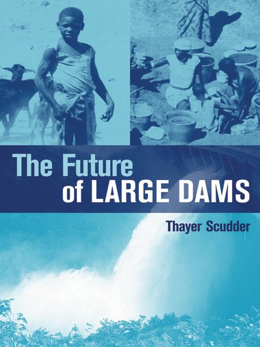 The Future of Large Dams