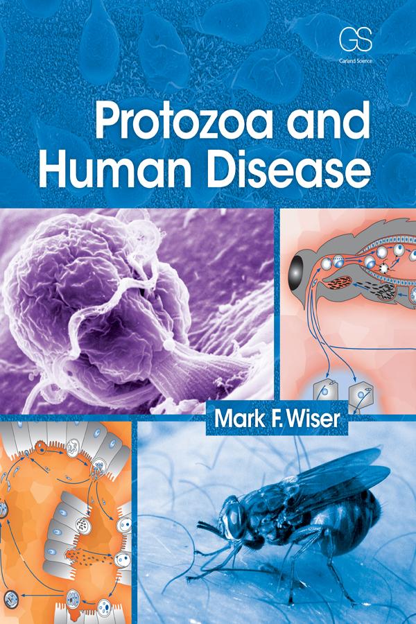 Protozoa and Human Disease by Mark F Wiser
