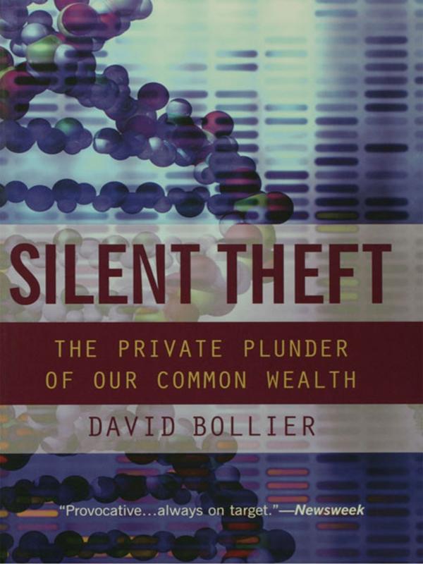 Silent Theft by David Bollier