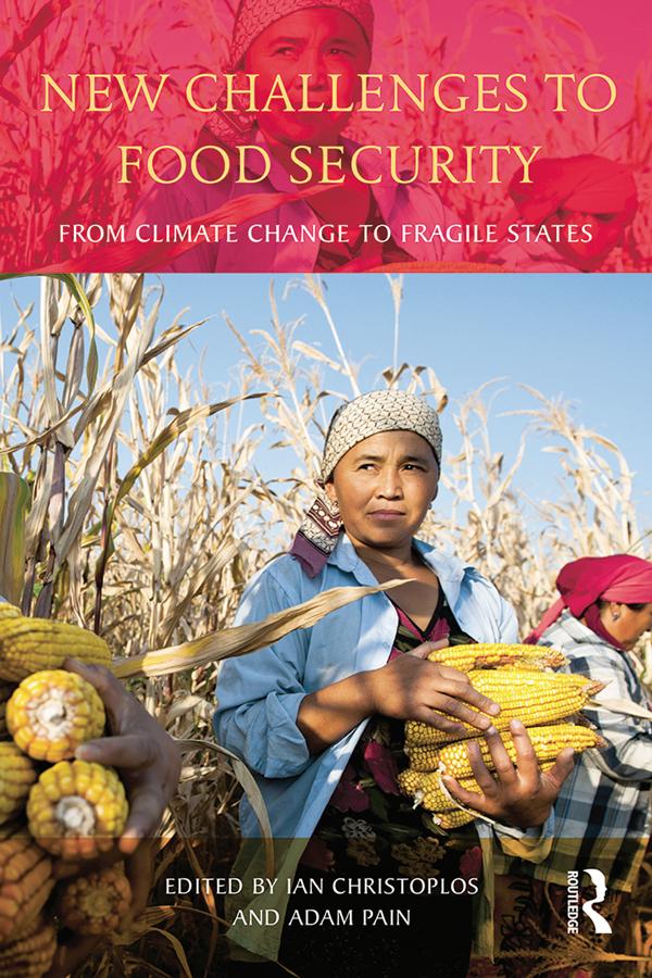 New Challenges to Food Security by Adam Pain, Ian Christoplos