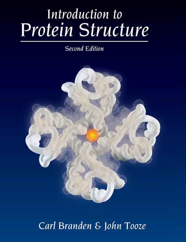 Introduction to Protein Structure by Carl Ivar Branden, John Tooze