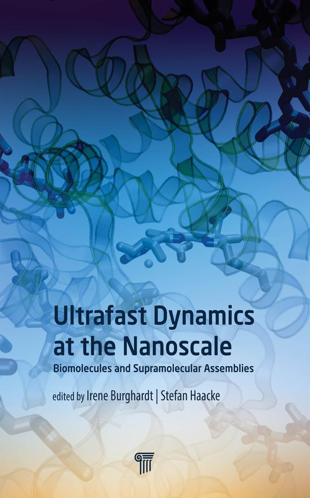 Ultrafast Dynamics at the Nanoscale by Irene Burghardt, Stefan Haacke