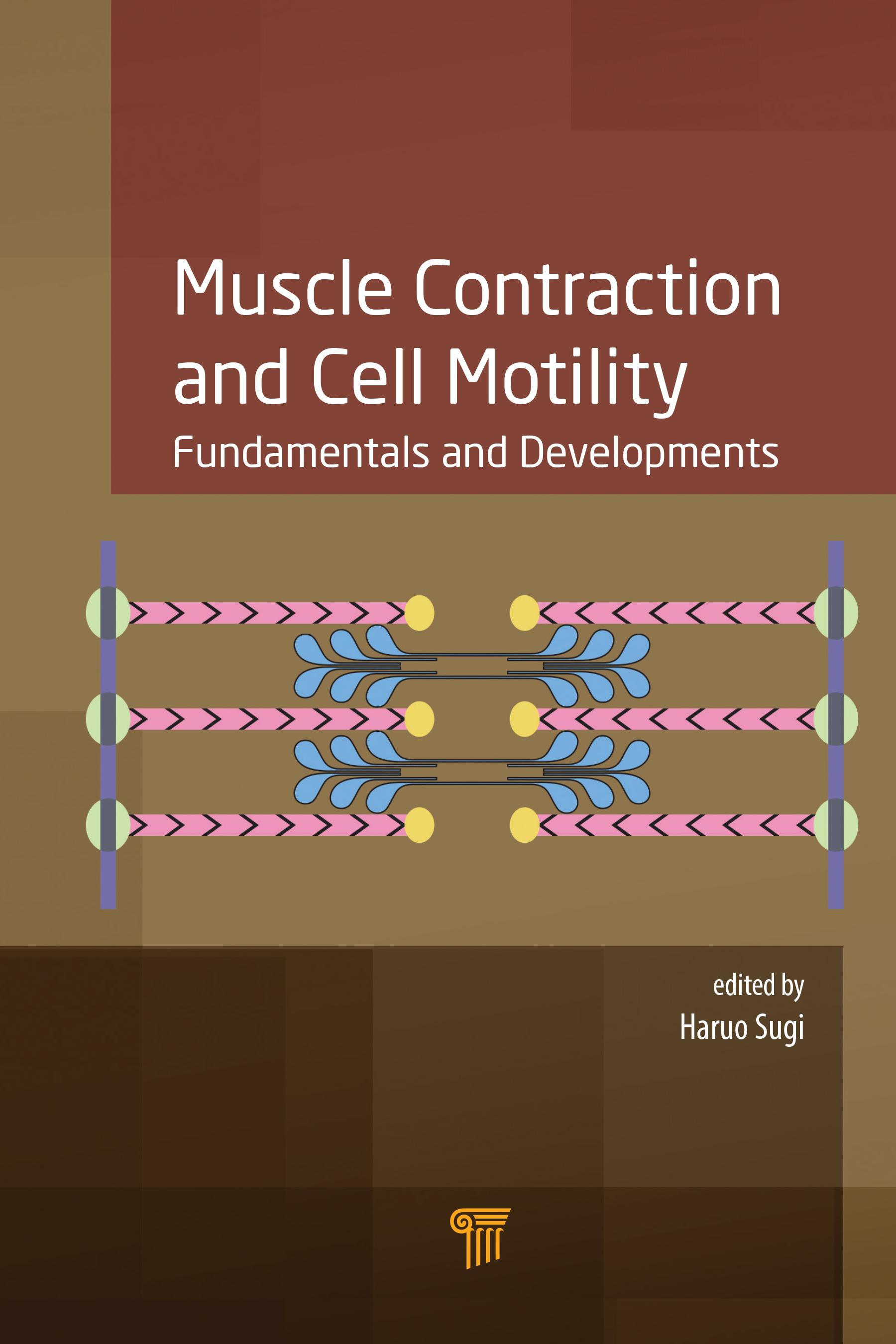 Muscle Contraction and Cell Motility