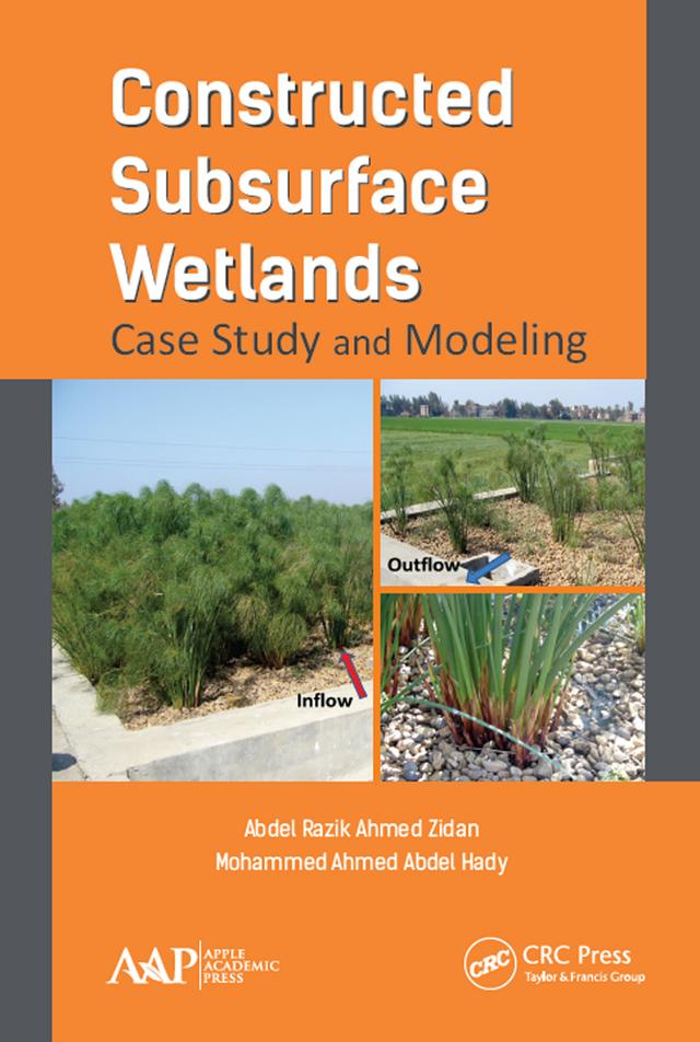 Constructed Subsurface Wetlands by Abdel Razik Ahmed Zidan, Mohammed Ahmed Abdel Hady