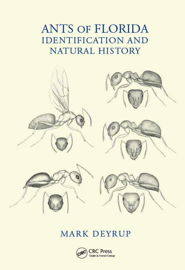 Ants of Florida by Mark Deyrup