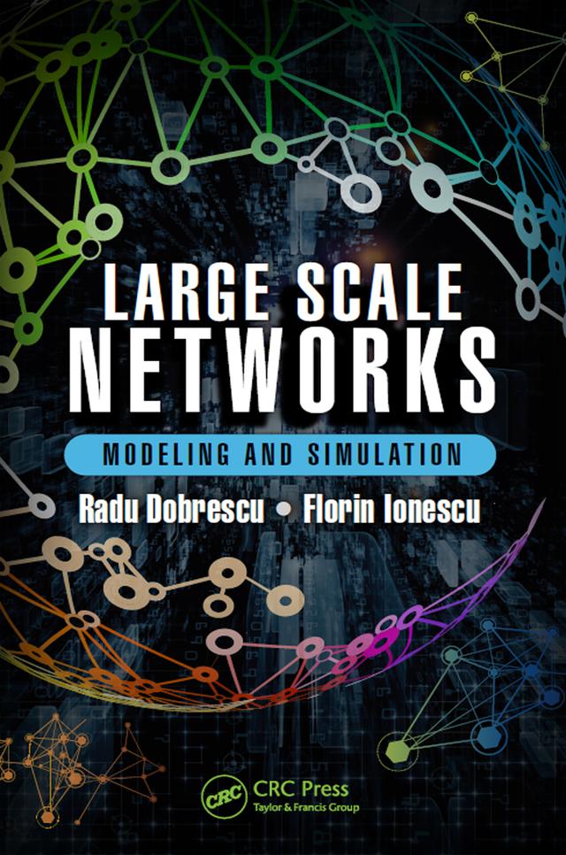 Large Scale Networks by Florin Ionescu, Radu Dobrescu