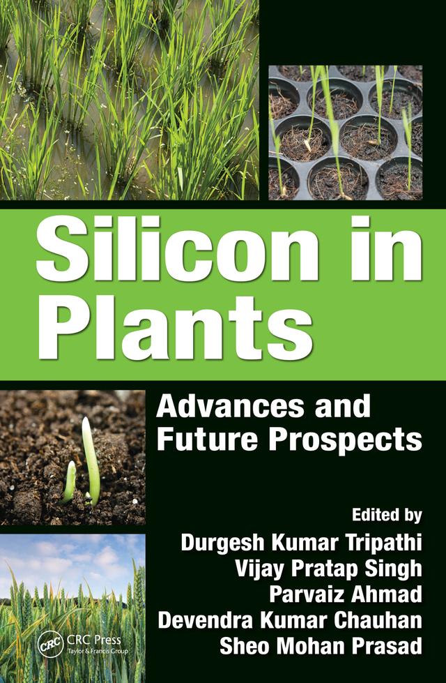 Silicon in Plants by Devendra Kumar Chauhan, Durgesh Kumar Tripathi, Parvaiz Ahmad, Sheo Mohan Prasad, Vijay Pratap Singh