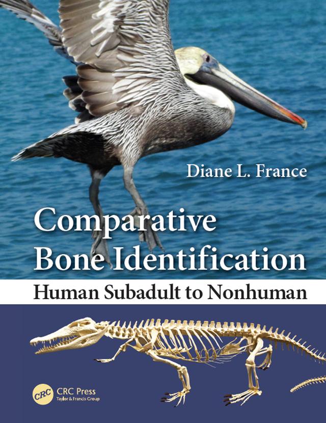 Comparative Bone Identification by Diane L. France