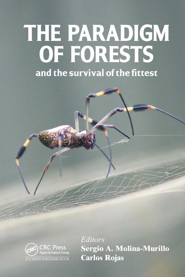The Paradigm of Forests and the Survival of the Fittest by Carlos Rojas Alvarado, Sergio A. Molina-Murillo