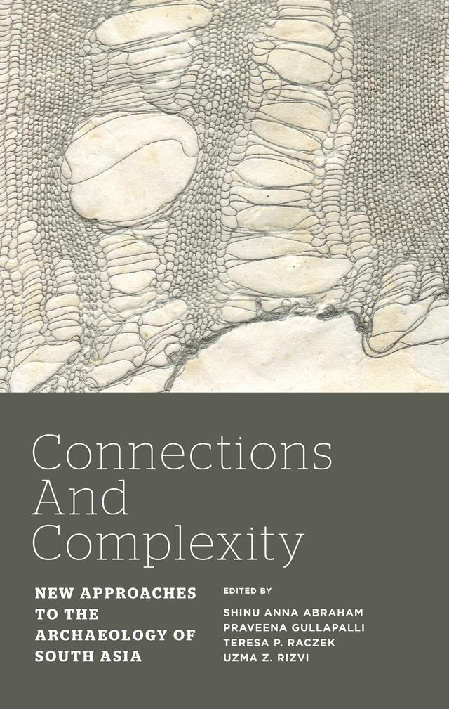 Connections and Complexity by Praveena Gullapalli, Shinu Anna Abraham, Teresa P Raczek, Uzma Z Rizvi