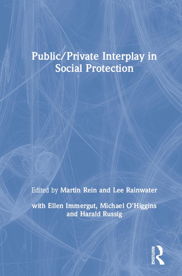 Public/Private Interplay in Social Protection by Lee Rainwater, Martin Rein