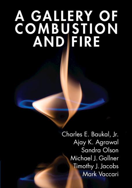 A Gallery of Combustion and Fire by Ajay K. Agarwal, Charles E. Baukal, Jr., Mark Vaccari, Michael J. Gollner, Sandra Olson, Timothy J. Jacobs