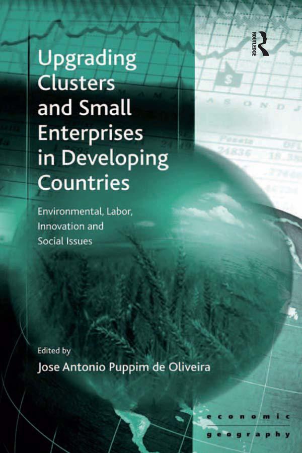 Upgrading Clusters and Small Enterprises in Developing Countries by Jose Antonio Puppim de Oliveira