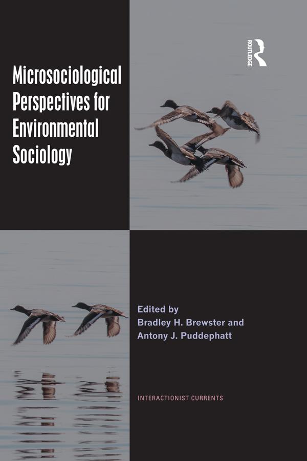 Microsociological Perspectives for Environmental Sociology by Antony J. Puddephatt, Bradley H. Brewster