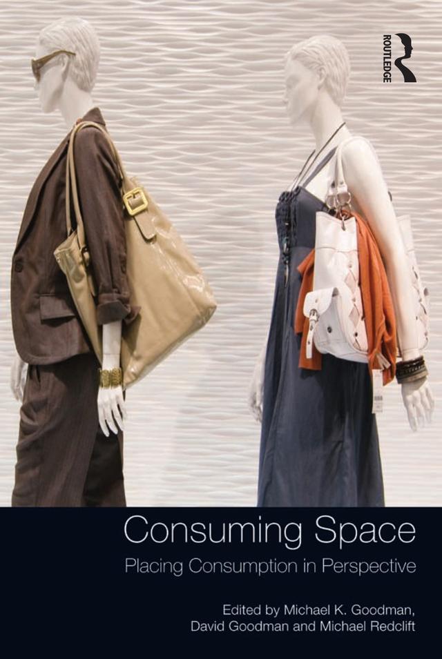 Consuming Space by David Goodman, Michael K. Goodman