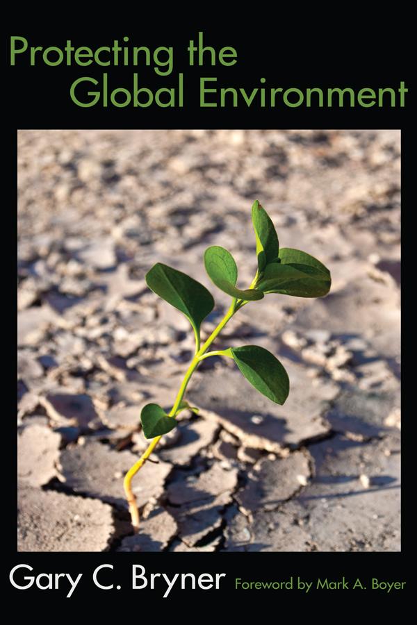 Protecting the Global Environment