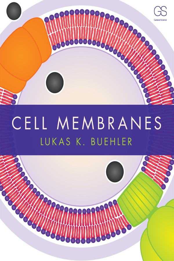 Cell Membranes by Lukas Buehler