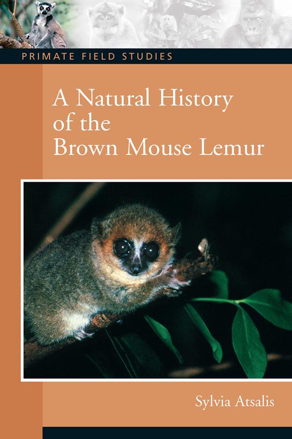 A Natural History of the Brown Mouse Lemur by Sylvia Atsalis