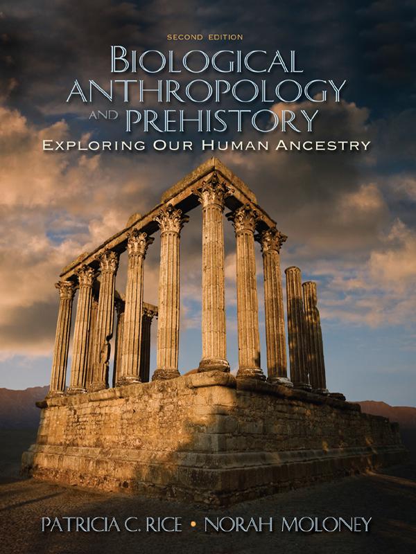 Biological Anthropology and Prehistory by Norah Moloney, Patricia C. Rice