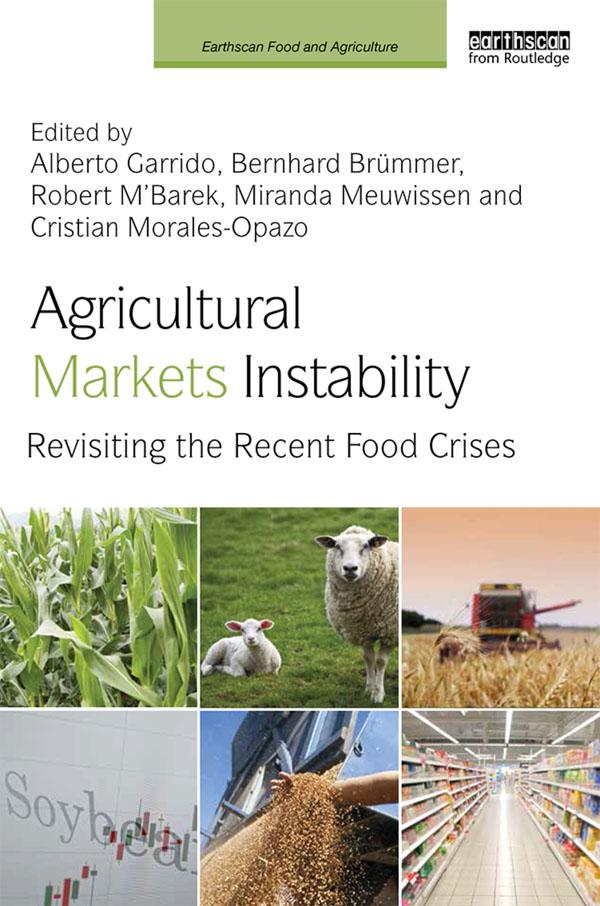 Agricultural Markets Instability by Alberto Garrido, Bernhard Brümmer, Cristian Morales-Opazo, Miranda Meuwissen, Robert M'Barek