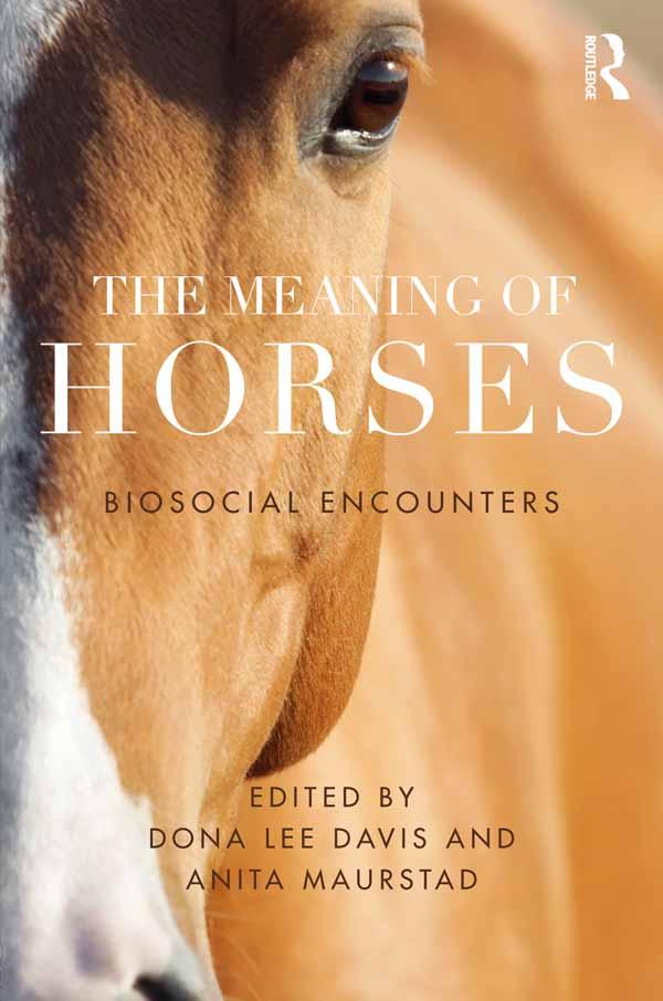 The Meaning of Horses by Anita Maurstad, Dona Davis