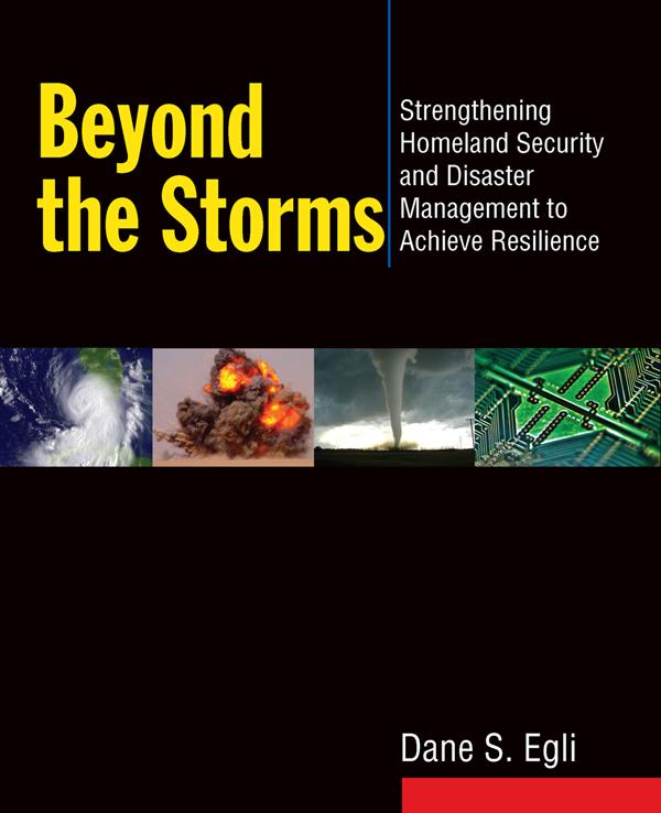 Beyond the Storms by Dane S Egli