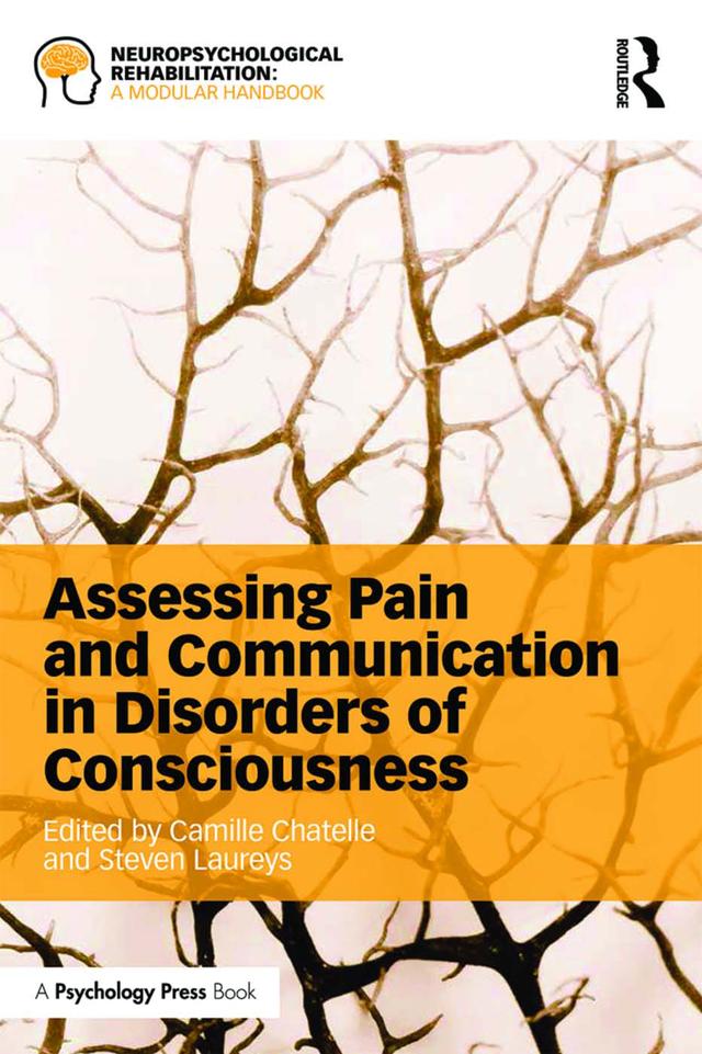 Assessing Pain and Communication in Disorders of Consciousness by Camille Chatelle, Steven Laureys