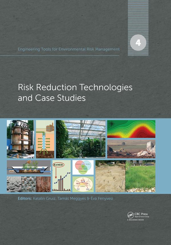 Engineering Tools for Environmental Risk Management by Éva Fenyvesi, Katalin Gruiz, Tamás Meggyes