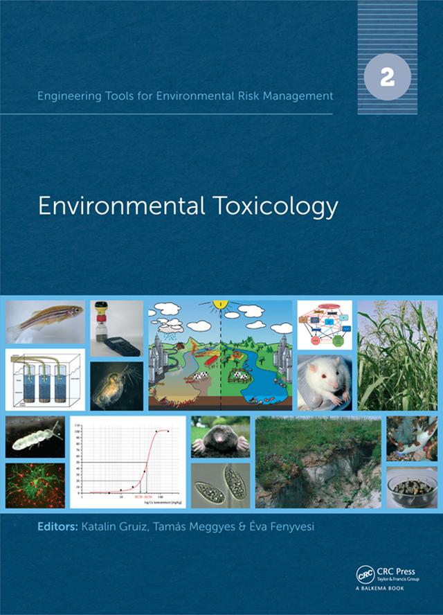 Engineering Tools for Environmental Risk Management by Eva Fenyvesi, Katalin Gruiz, Tamas Meggyes