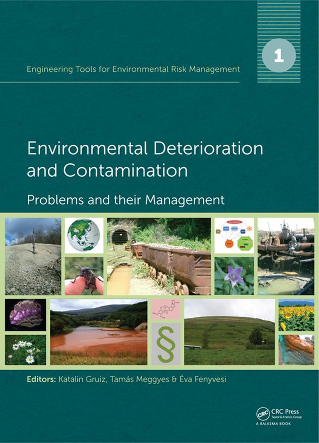 Engineering Tools for Environmental Risk Management by Eva Fenyvesi, Katalin Gruiz, Tamas Meggyes