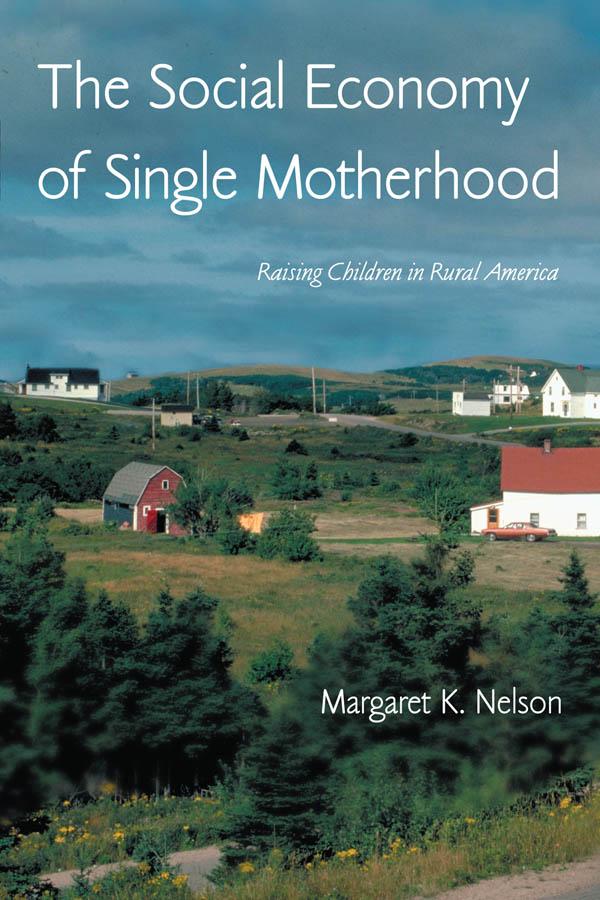 The Social Economy of Single Motherhood by Margaret Nelson