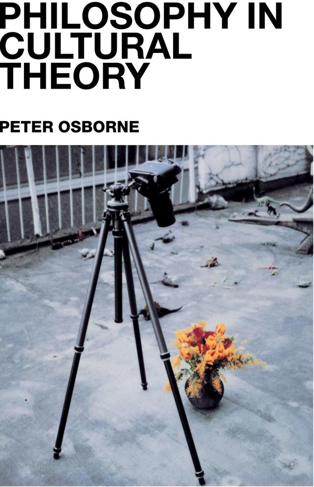 Philosophy in Cultural Theory by Peter Osborne