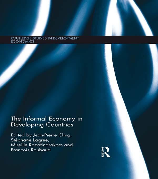 The Informal Economy in Developing Countries by François Roubaud, Jean-Pierre Cling, Mireille Razafindrakoto, Stéphane Lagrée