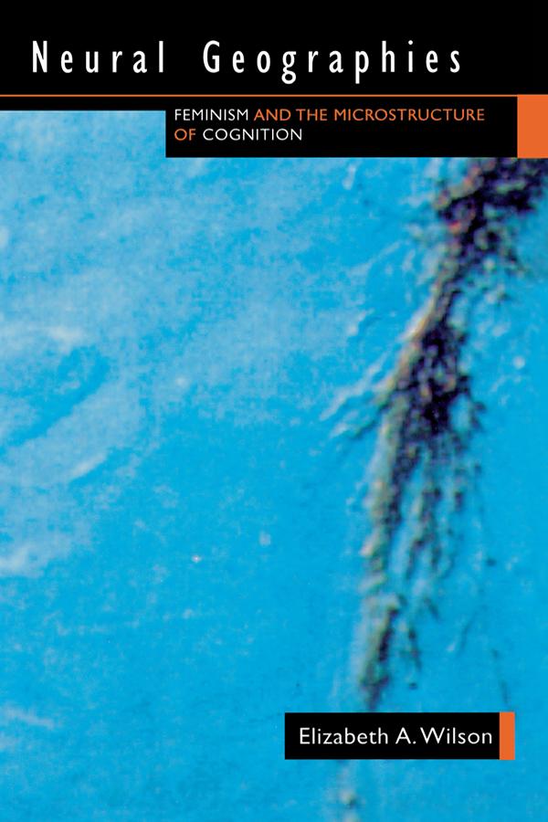 Neural Geographies by Elizabeth A. Wilson