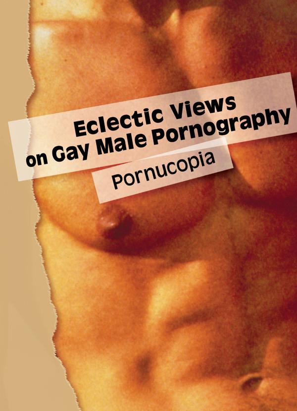 Eclectic Views on Gay Male Pornography by Todd Morrison