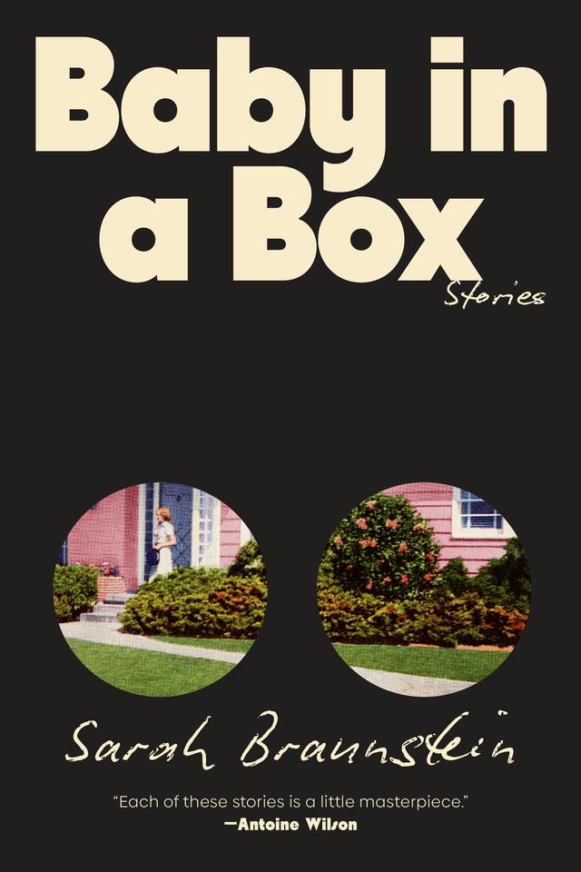 Baby in a Box by Sarah Braunstein