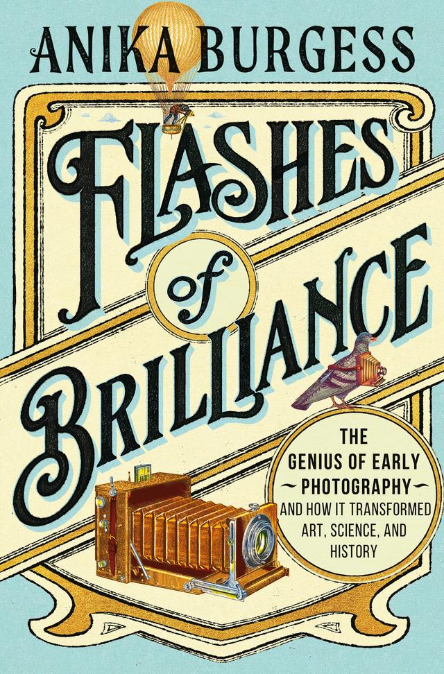 Flashes of Brilliance by Anika Burgess
