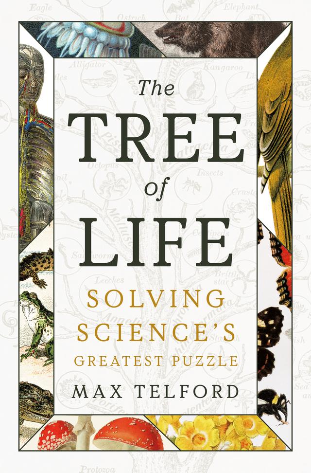 The Tree of Life by Max Telford