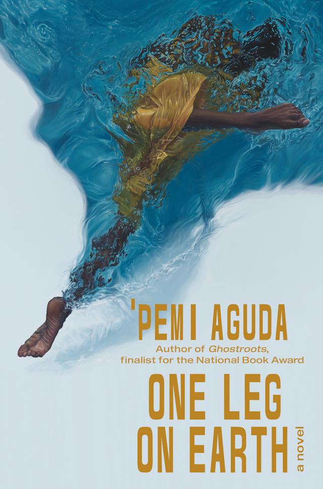 One Leg on Earth by 'Pemi Aguda