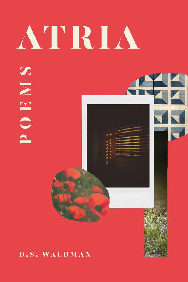 Atria by D. S. Waldman